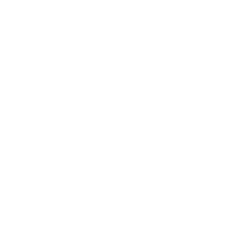 paspoto-white